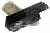 Black Tourmaline (Schorl) Crystal and Smoky Quartz - Namibia #132178-1